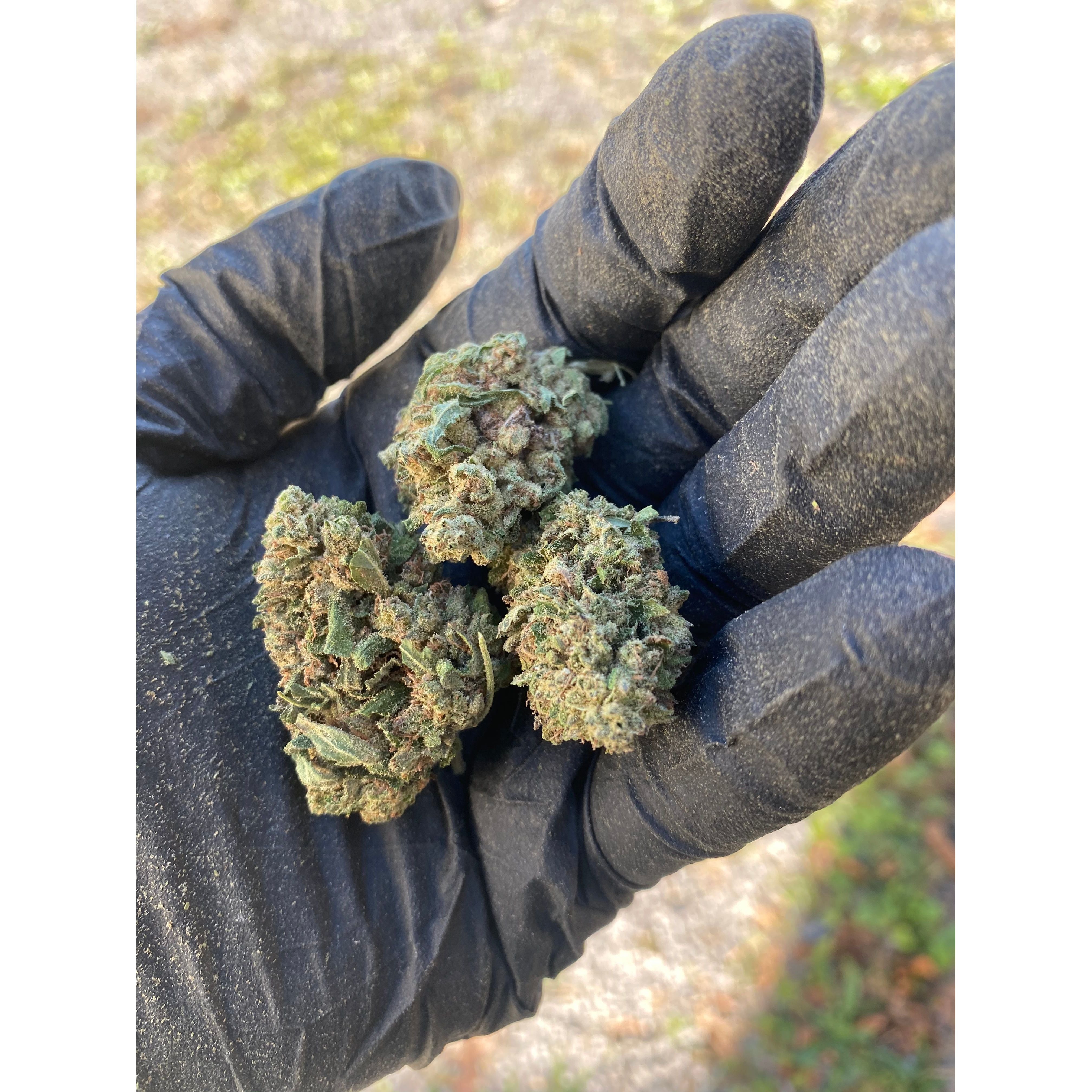 Frosted Kush CBD Flower